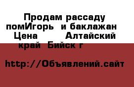 Продам рассаду помИгорь  и баклажан › Цена ­ 10 - Алтайский край, Бийск г.  »    